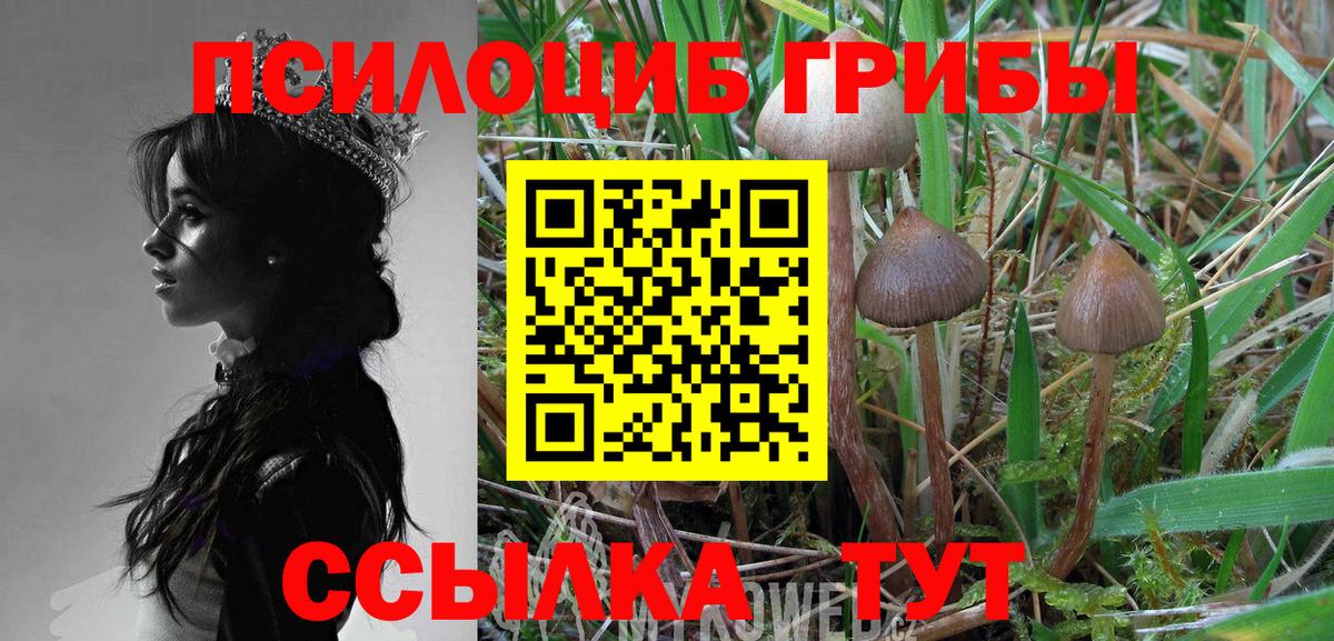 Псилоцибиновые грибы Cubensis  Вход с VPN  Псилоцибиновые грибы Cubensis  Полевской 